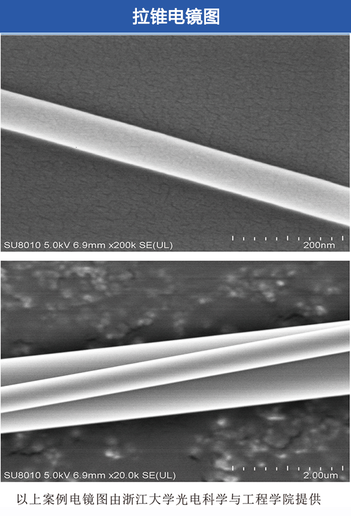 tb-电镜图.jpg